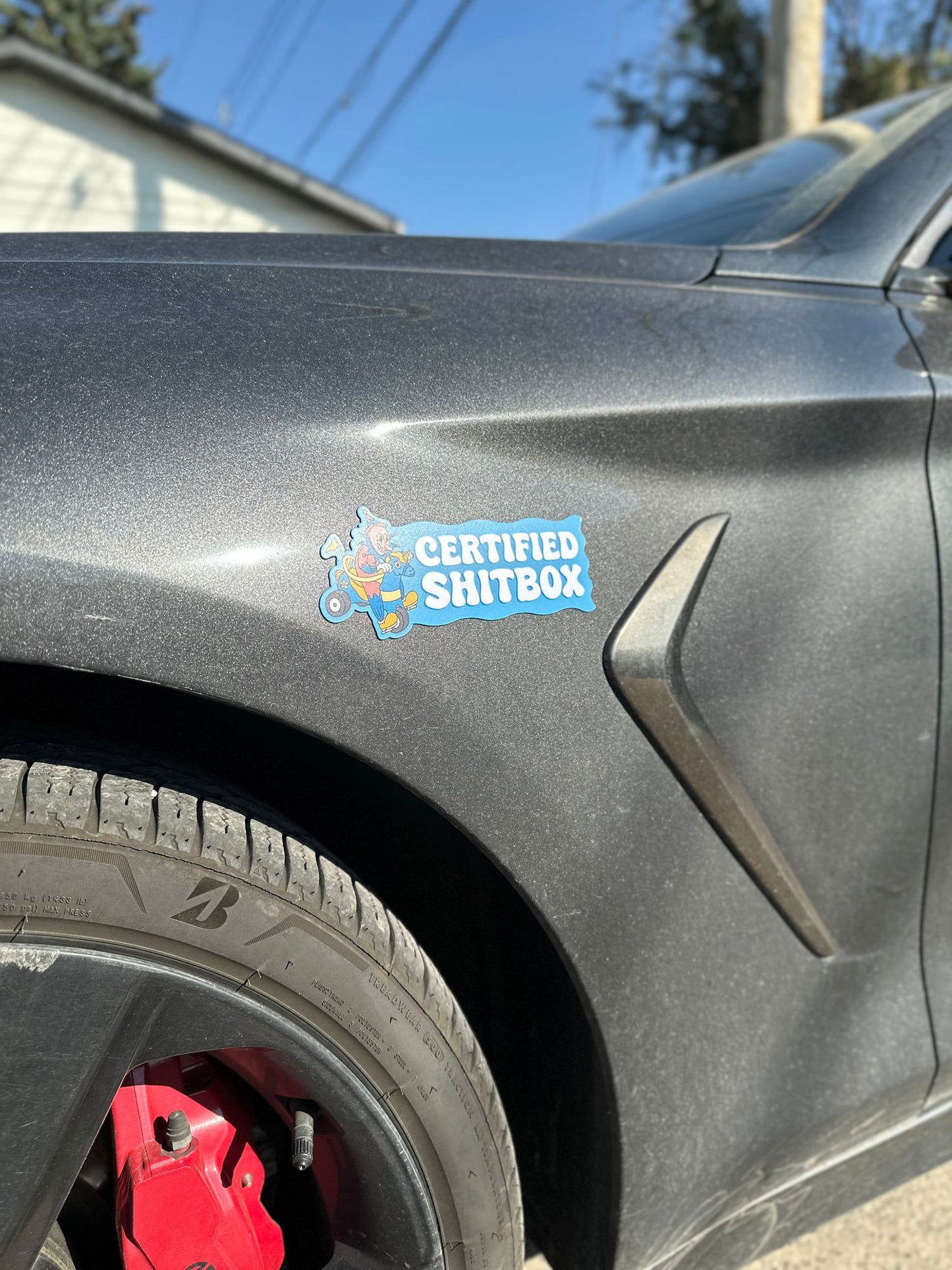 Bumper? Car Magnet