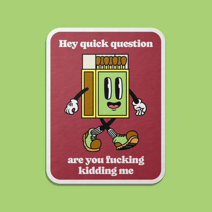 Are You Kidding Me Magnet